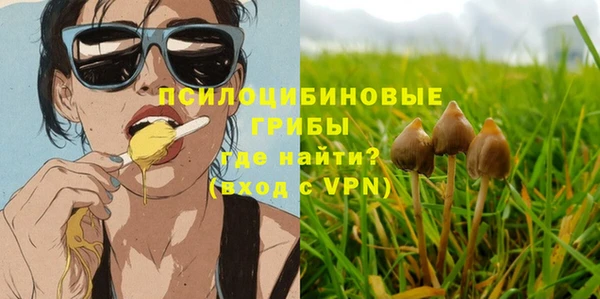 МДПВ Абаза