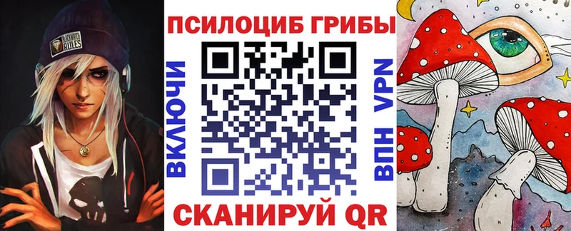 Псилоцибиновые грибы Psilocybine cubensis Химки