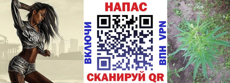 Канабис MAZAR  наркошоп  блэк спрут сайт  Химки 